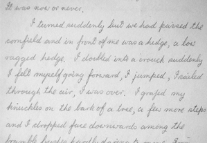 Ray's neat handwriting.